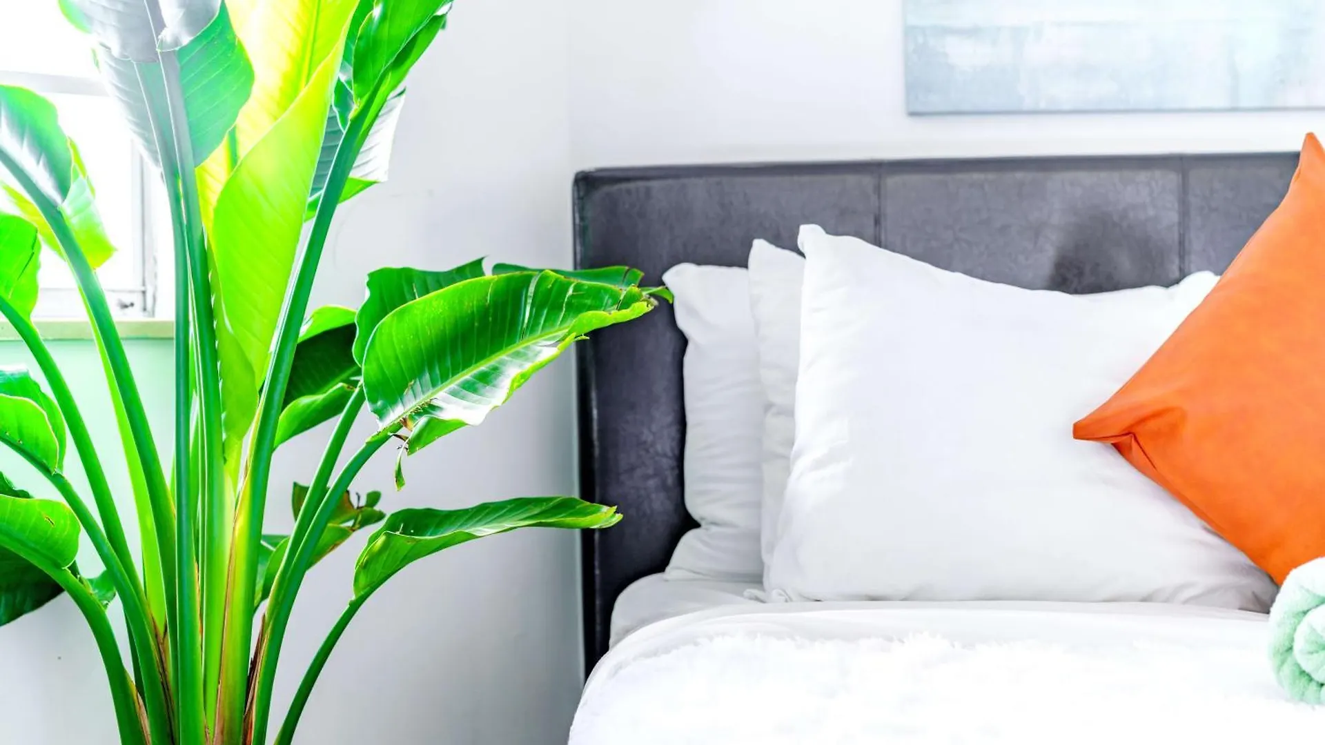 Short North Convention Private Parking Pets Villa Columbus